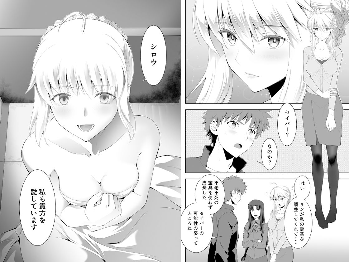 SABER COMPLEX 2 画像3