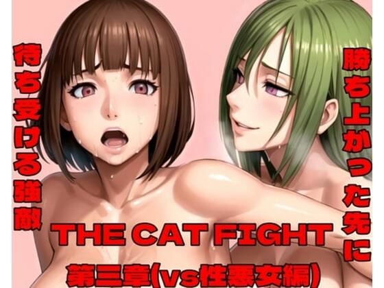 THE CAT FIGHT 第三章（vs性悪女編）_1