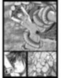 SORS 7 : ACT 01 ’Xenobiologist and tentacle creature end up having interspecies sex.’ 画像9