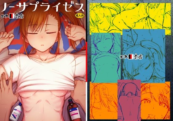 【エス書店】双○亜美と双○亜美と双○亜美と双○真美の部屋に忍び込むP『ノーサプライゼス』