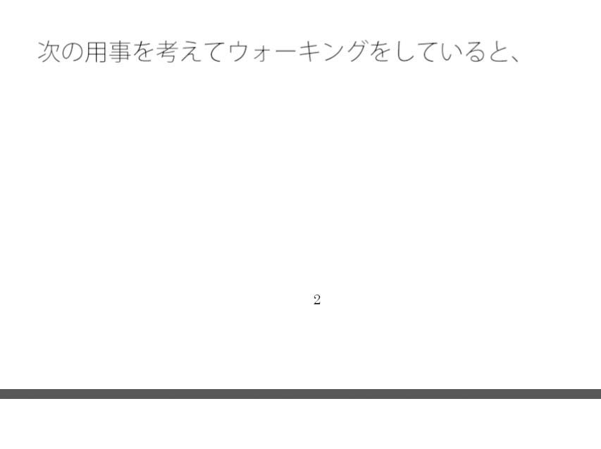 朝の路肩の小さな哺乳類とちょっと位置がズレた広場のベンチ 画像1