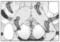 精子で魔力強化する異世界のギャル冒険者に召喚された僕 画像5