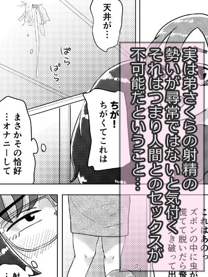 （弟への愛が）とってもおっきいお姉ちゃん〜ちょっとワケあり姉弟のラブラブえっちな話〜_3