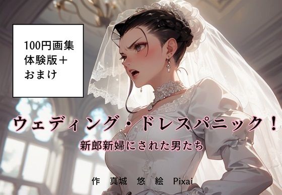 100円画集「ウェディング・ドレスパニック！新郎新婦にされた男たち、体験版＋おまけ」