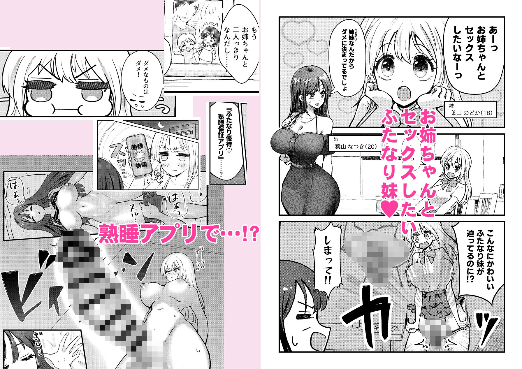 ふたなり妹が大好きなお姉ちゃんを睡眠姦する話1