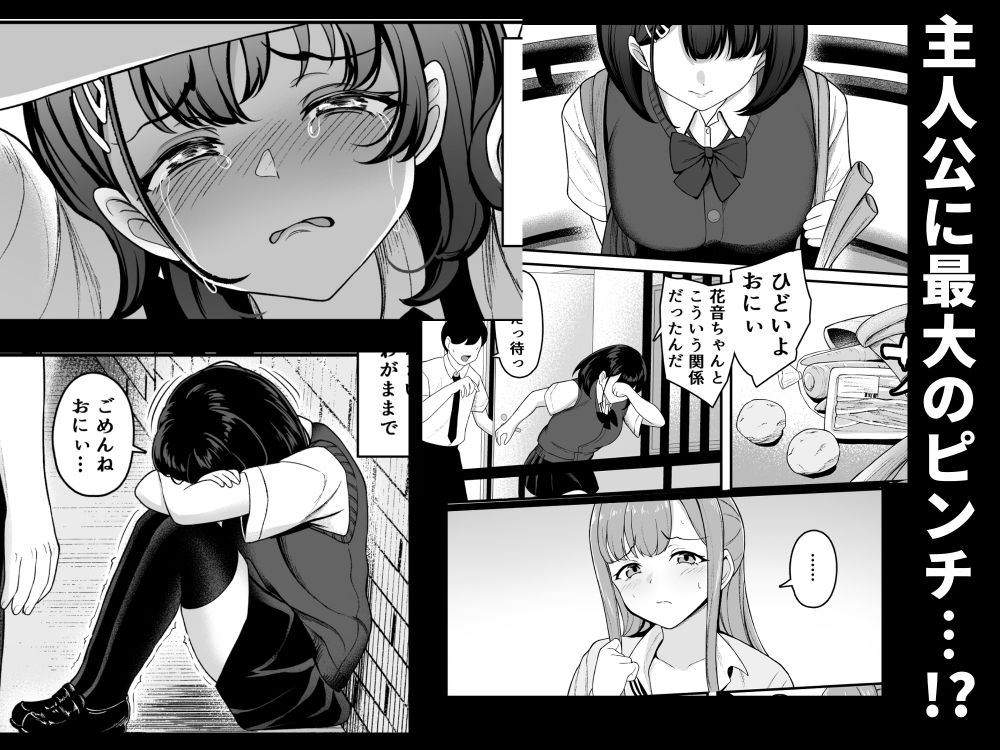 お家ハーレム！？  Sっ気の義妹とMっ気の幼馴染！ サンプル10