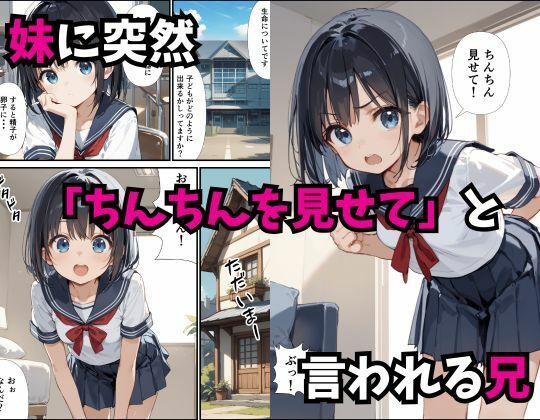 性に興味津々の妹とえっちした話 画像1