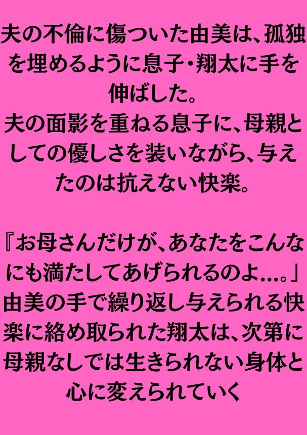 境界線を越えて〜堕ちていく息子と歪む母性〜 画像1