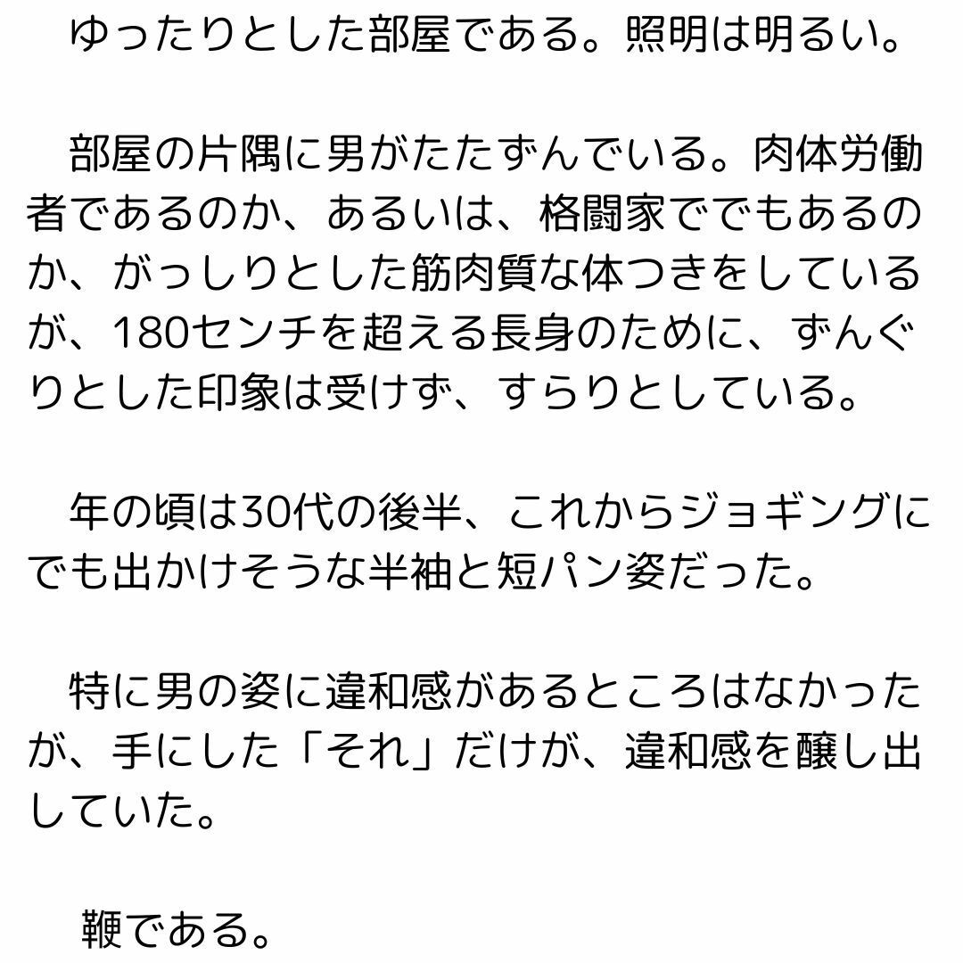 鞭と青年と奴● 画像1