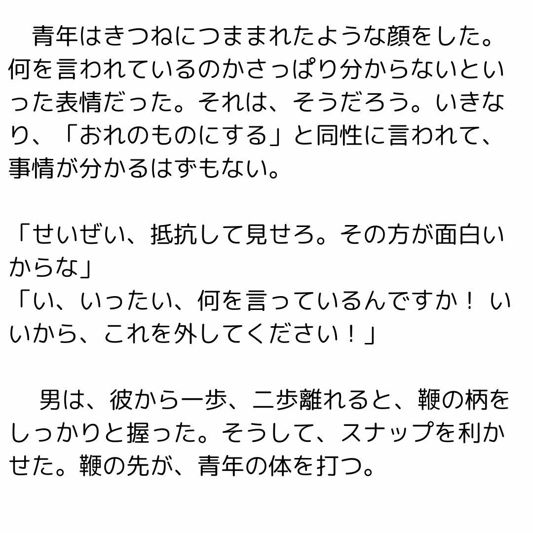 鞭と青年と奴●2