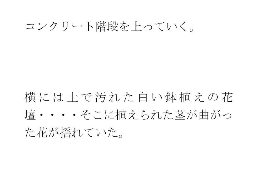 鉄の屋根の小屋・・・長いコンクリート階段を上り終えたあと現実の街へ 画像3