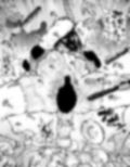 支援サイト過去作品2024年10月〜12月
