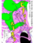 戦隊ピンク不完全変身ふたなり改造快感地獄 画像9