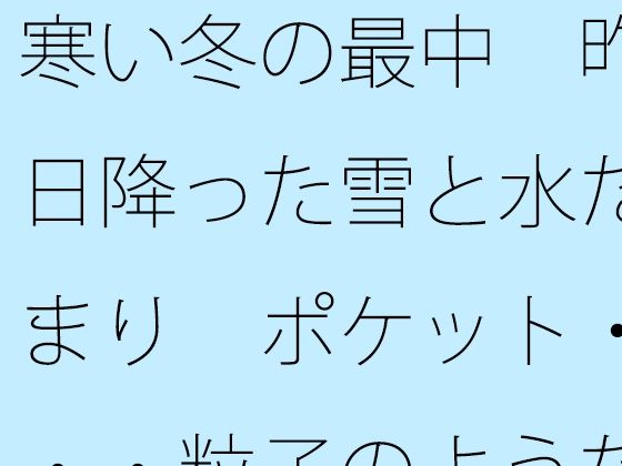 まったく気にしていないが気にしていないが気にしていないが気になる【寒い冬の最中昨日降った雪と水たまりポケット・・・粒子のようなことが】