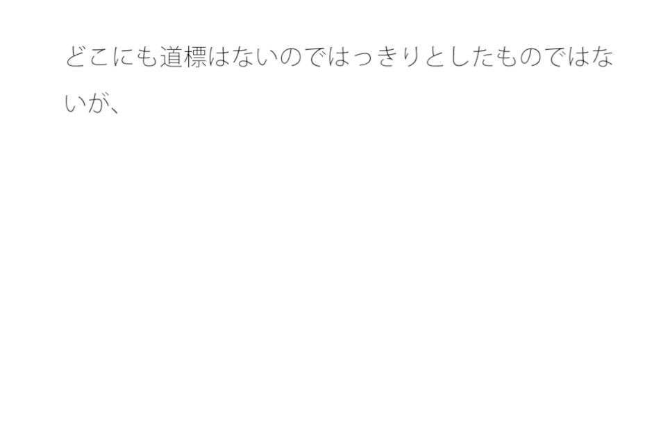 ラインをすぎて緩やかな下り坂平坦な道を過ぎて今上っているような・・・道標はないので1