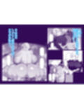 この私がち〇ぽが立派なだけが取り柄の落ちこぼれ若様なんかに堕とされる訳がありません。