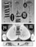 催●にもちんぽにも負ける武道部部長 画像9