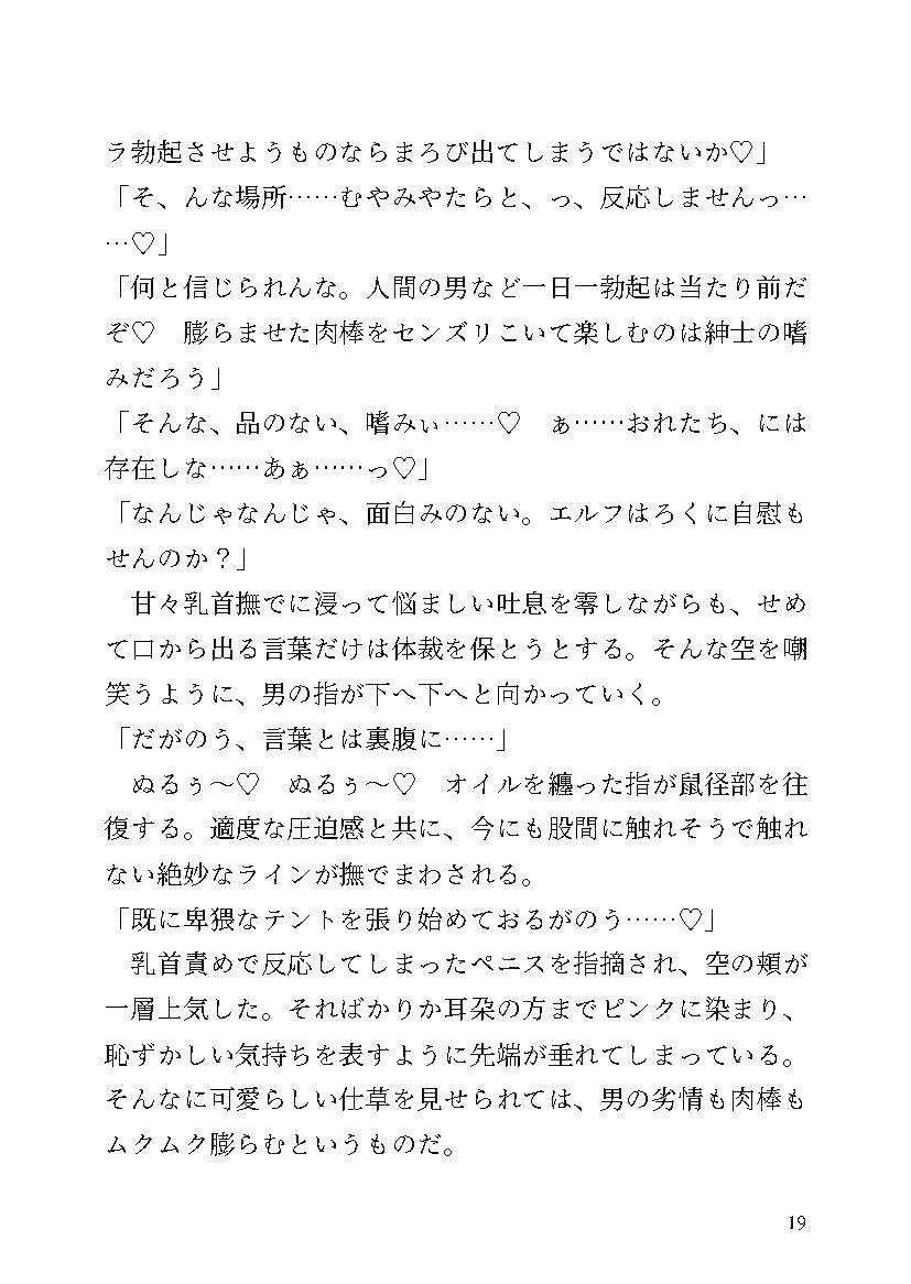 【小説】エルフ騎士様恥辱の御夜伽。絶倫ちんぽに雌伏せん5