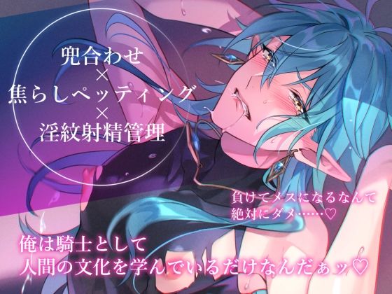 【小説】エルフ騎士様恥辱の御夜伽。絶倫ちんぽに雌伏せん【LETM】