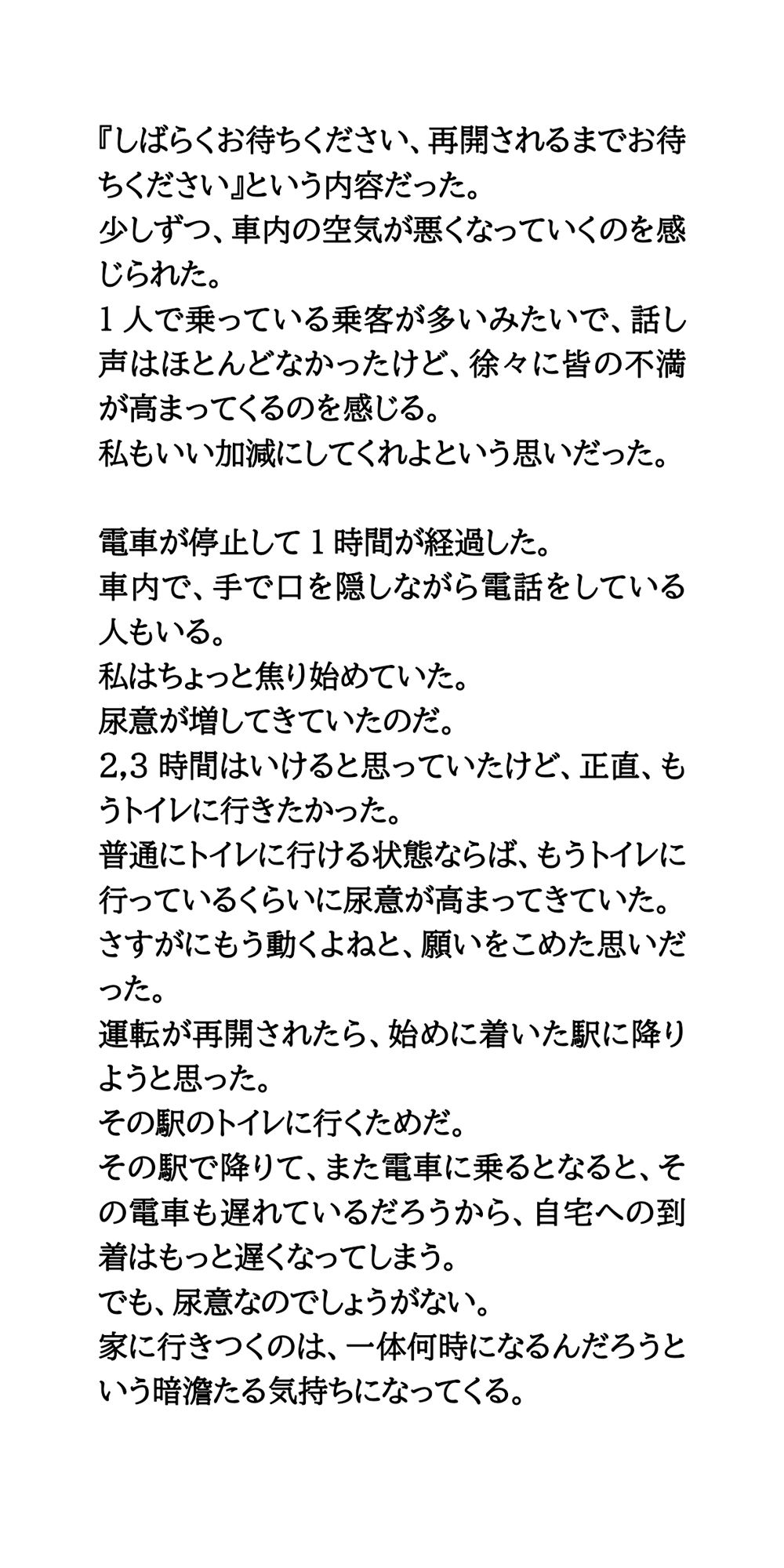 積雪で10時間電車内に閉じ込め。我慢が限界に達して失禁してしまった話 画像4