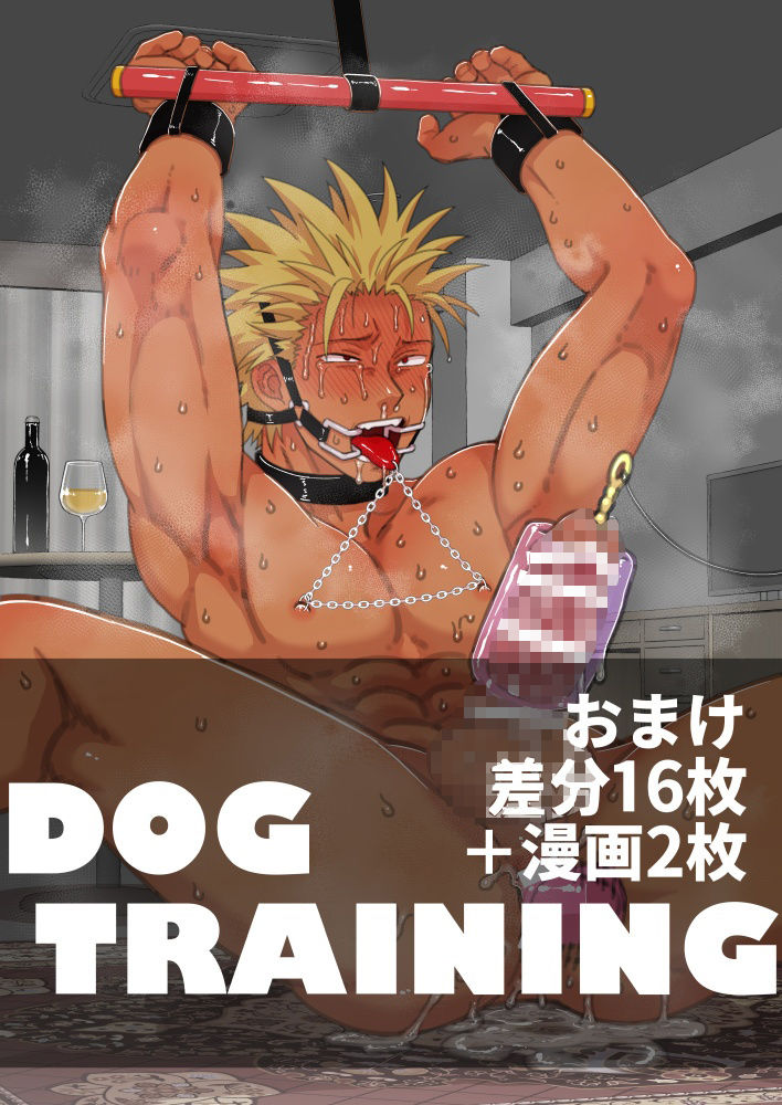 DOG TRAINING 画像5