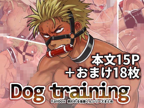 DOG TRAINING【旅に出ます】