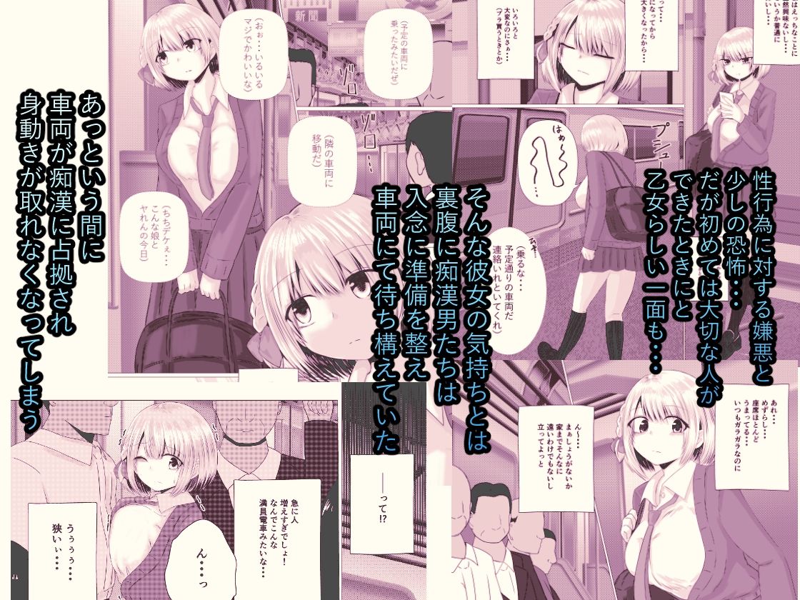 サンプル画像2:孕ませ痴●電車  白銀  響編(色ねこペンシル) [d_551278]