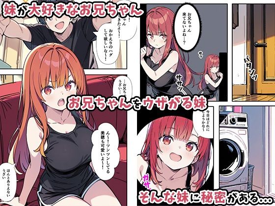 サンプル画像2:性欲ムンムンツンデレ妹が俺のパンツでオナニーしてたので我慢出来ず膣内出しした話(あくめくん) [d_551816]