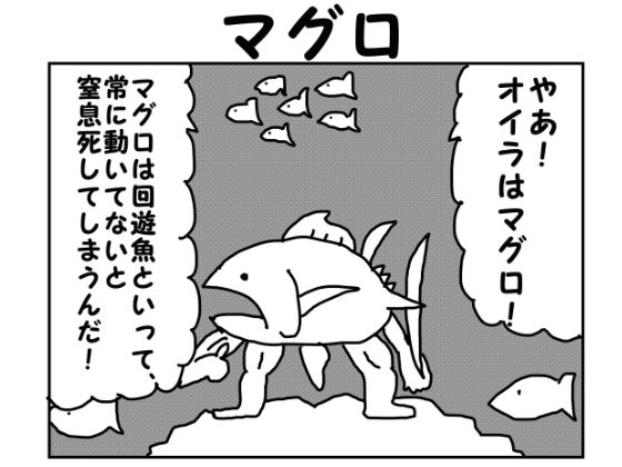 2コマ漫画「マグロ」1