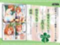 立場を利用して五姉妹を次々と犯していく教師達の話