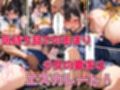 爆乳女子校生とピンクローターくんの恩返し