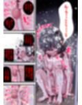 前立腺責め型TS薬 ふたなり娘化した俺と 堕ちゆく雌逝き3回の誘惑