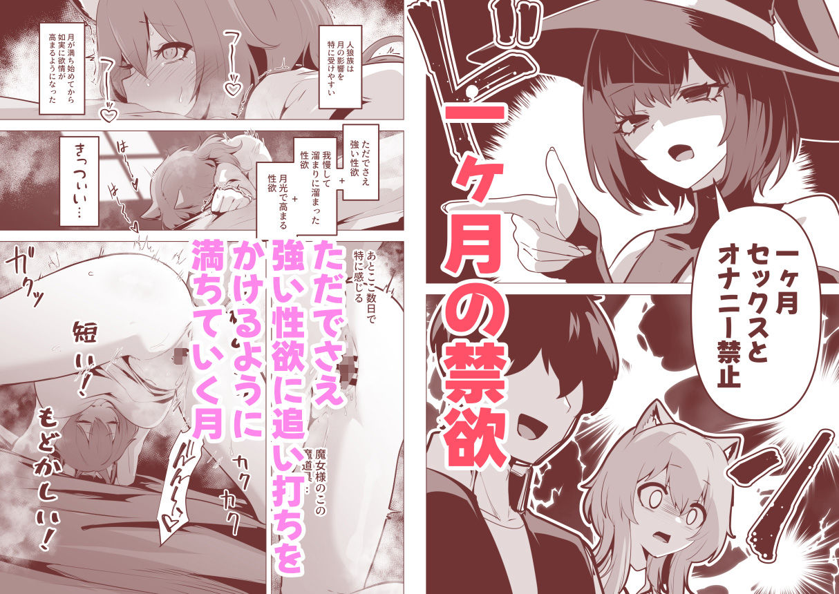 ホンネを聞かせて2 画像3