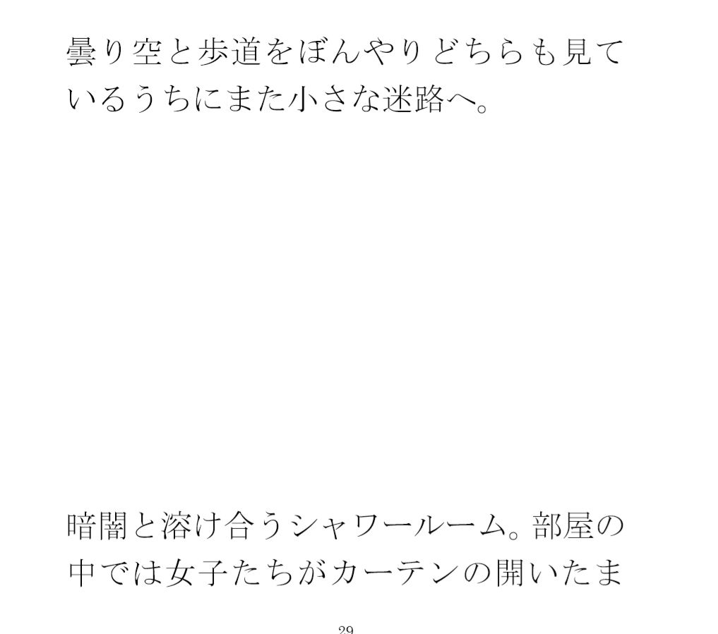 サンプル画像4:緩やかな街中の道路  女子のジーンズと曇り空に混じって暗くなってきた夜(逢瀬のひび) [d_560736]
