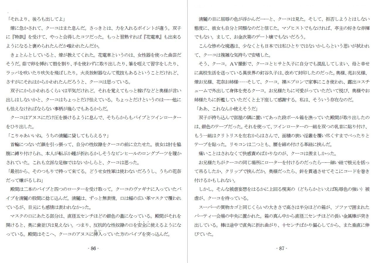 サンプル画像6:800万円のDVR:酷虐使役編(SMX工房) [d_561245]