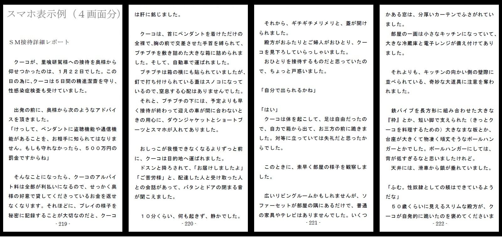 800万円のDVR:酷虐使役編 画像9