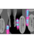 女捜査官ナデシコ