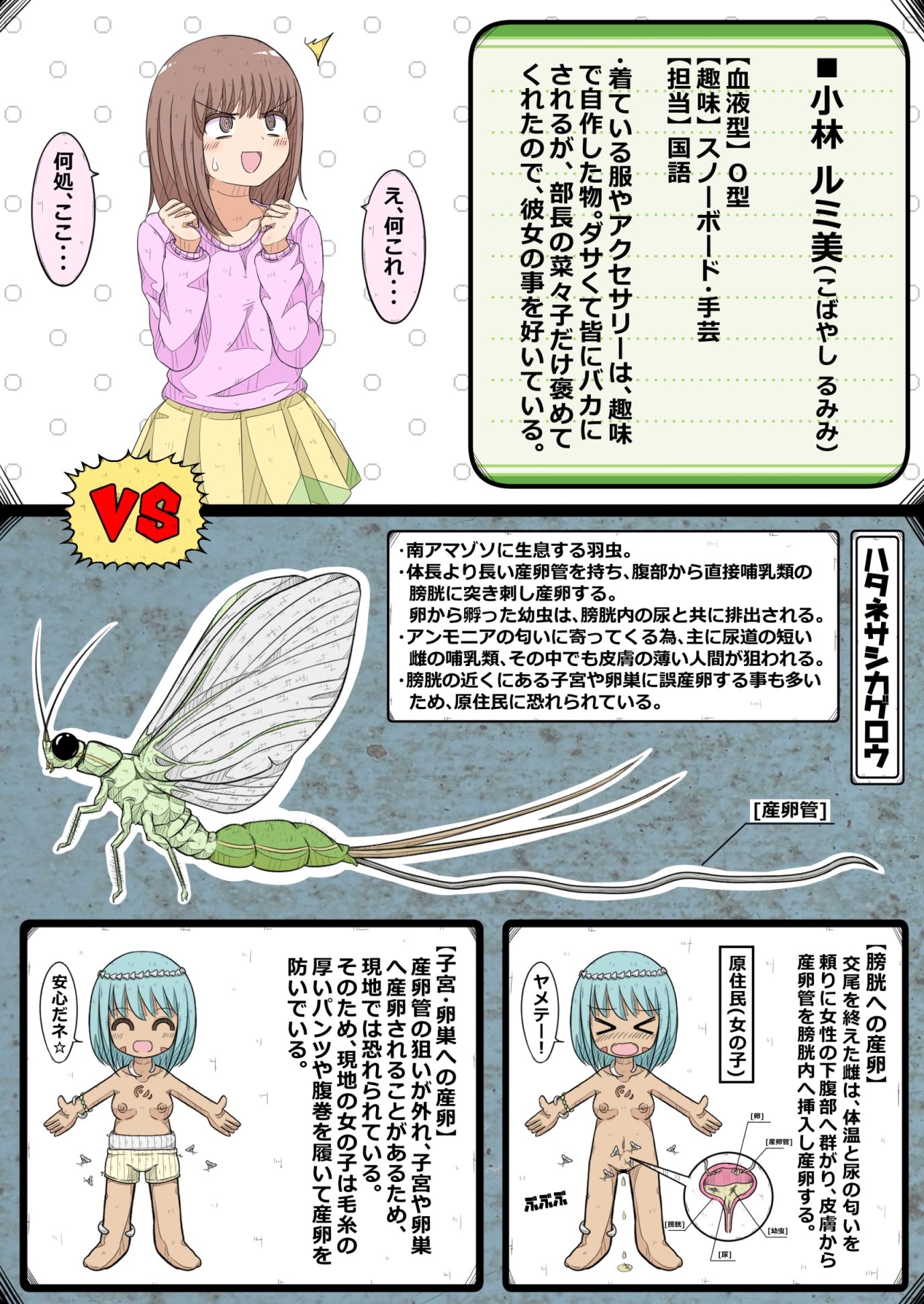 サンプル画像2:卵巣快楽研究部〜顧問の卵巣を掌握せよ！の巻き〜(ナンサークル) [d_567019]