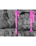はじめての種付け搾乳体験