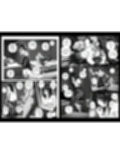 淫行少女 〜俺があのコに告った日 彼女はアイツの上で腰を振る〜