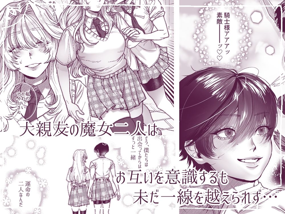 麗しの姫君♂は気高き騎士♀を溺愛したい 画像1