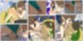 母乳ママ近親相姦痴● ＃1-5 「隠姦家族旅行」 完全版