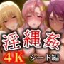 淫縄姦裏闇〜緊縛化されたヒロイン〜  高画質4K シード編