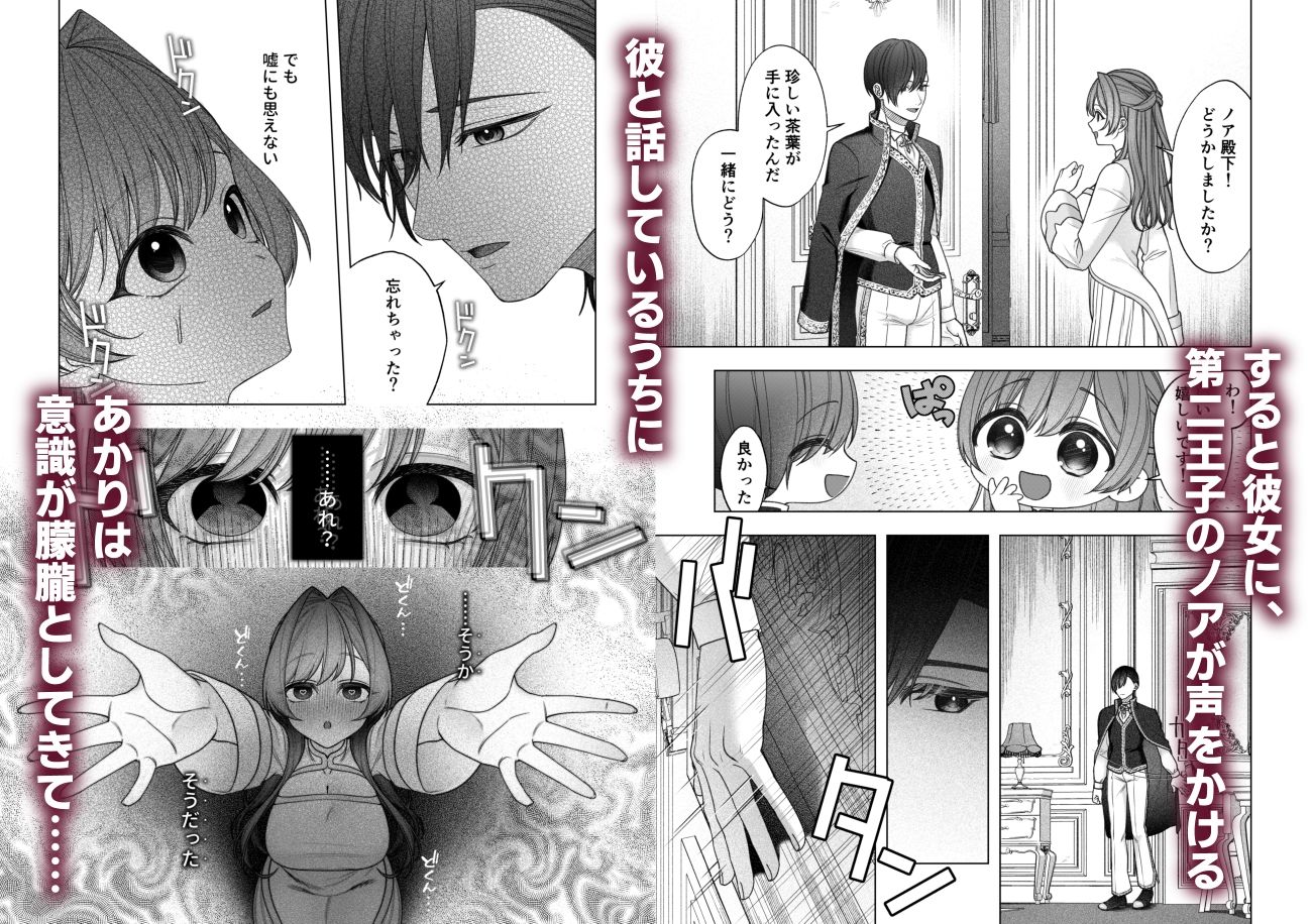 王子兄弟にいちゃらぶ?催○えっちで堕とされた聖女は 画像2