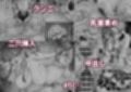 王子兄弟にいちゃらぶ？催○えっちで堕とされた聖女は