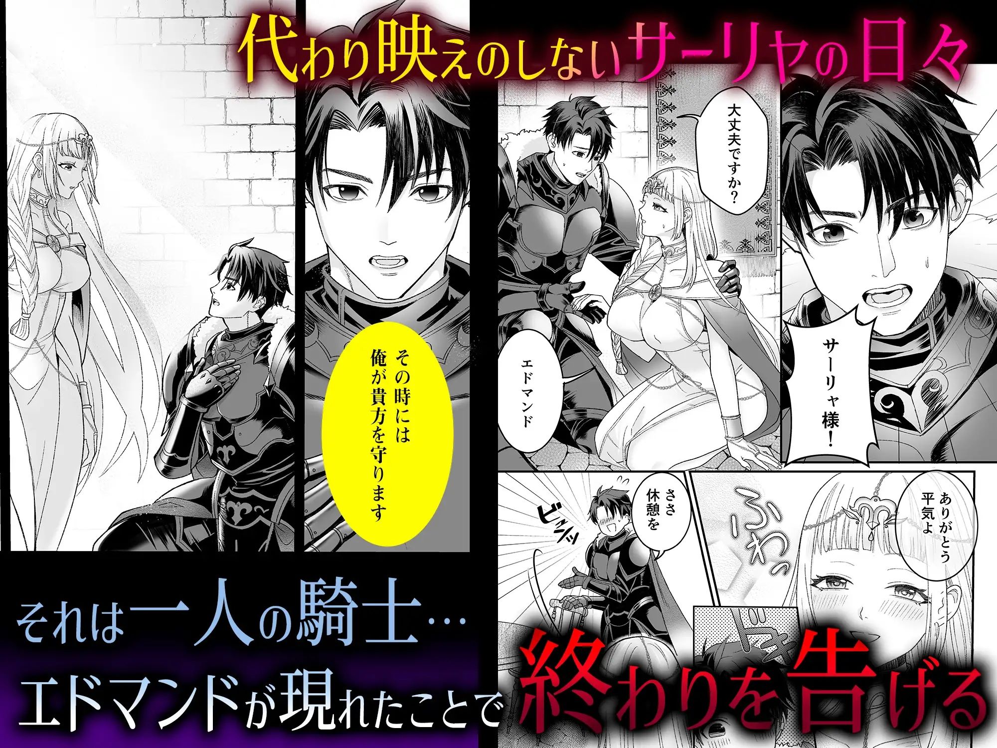 孤独な聖女は護衛騎士の狂愛を知る 画像2