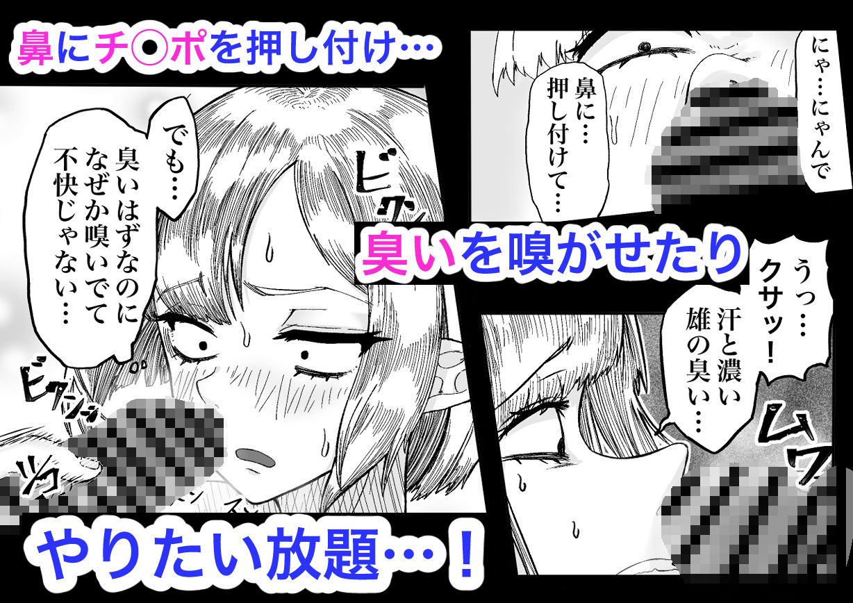 サンプル画像5:風呂嫌いな地味顔エルフの娼婦を騙して嫁にする(未確認性命体) [d_574265]