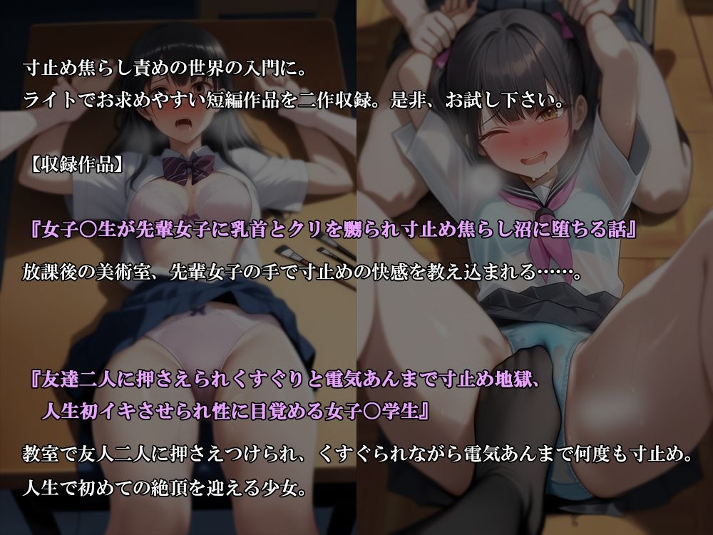 サンプル画像2:『寸止め焦らし入門パック』3作セット！  春の特別セール(淫乱テディベア) [d_574985]