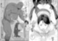 ホームステイのボブくんにハマった人妻