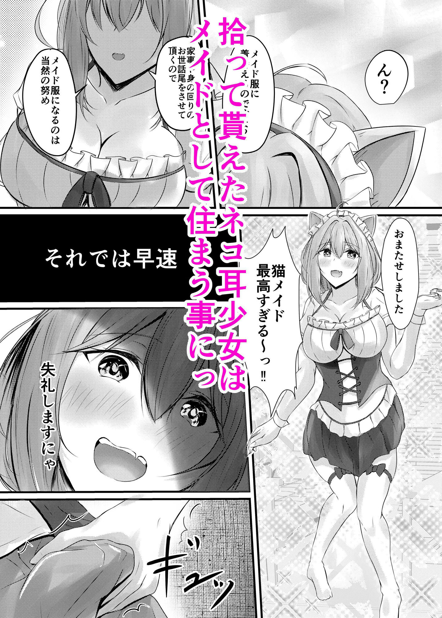 サンプル画像3:ハコのネコ(COLOR☆ALIVE) [d_575581]